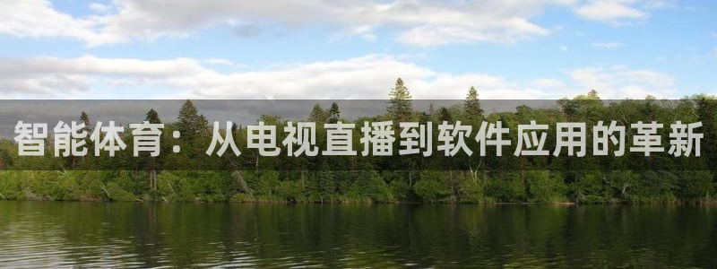 智能体育：从电视直播到软件应用的革新